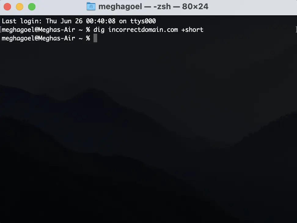 The dig command gives no output at all